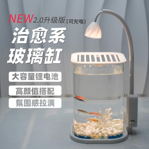 【新款斗鱼专用缸，高透玻璃桌面鱼缸】斗鱼专用缸 高透小型 懒人造景玻璃 桌面专用鱼缸 宿舍小夜灯 网红礼物-QQ 商品图2