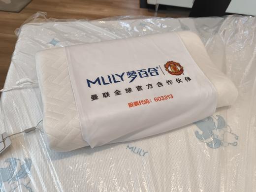 0压高低枕团购装枕头/Z-GD 商品图0