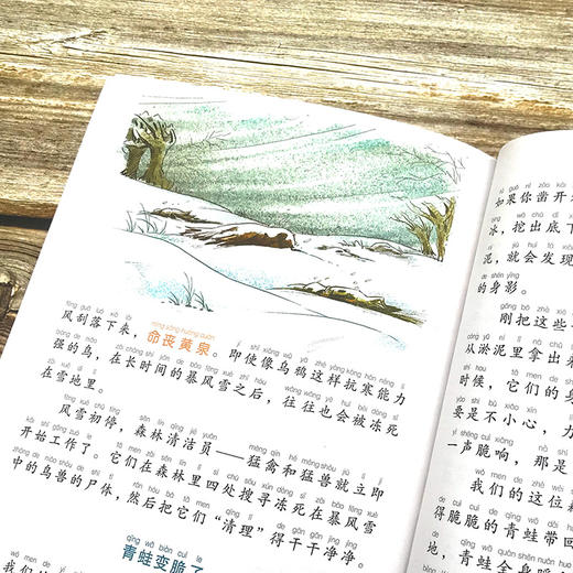 森林报 商品图2