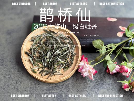 【春茶品鉴会】2023一级白牡丹《鹊桥仙》，馨香盈杯，清润润的汤感素雅洁净，仿若天山冰泉 商品图3