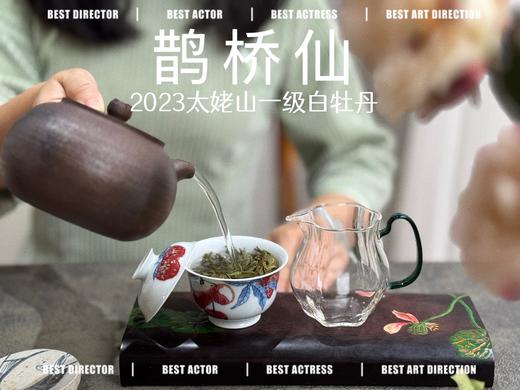 【春茶品鉴会】2023一级白牡丹《鹊桥仙》，馨香盈杯，清润润的汤感素雅洁净，仿若天山冰泉 商品图7