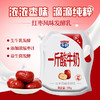 一斤酸牛奶红枣风味酸牛奶500g（月套餐，每日配送）西安 商品缩略图2
