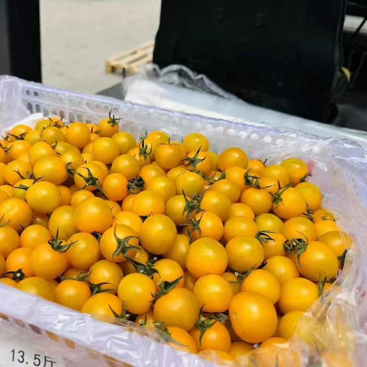 黄番茄500g+ 商品图3