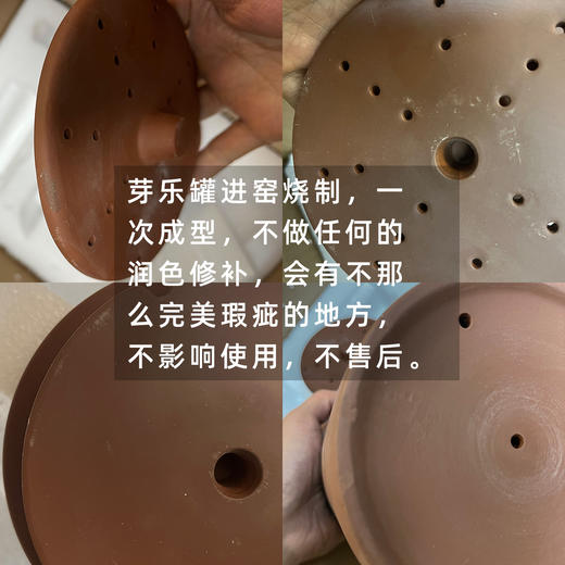 活力陶芽乐罐（发芽罐，随机送两包生态豆子）| 公平贸易 *Sprouting jar | Fair-Trade 商品图1