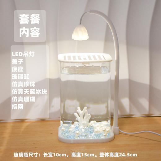 【新款斗鱼专用缸，高透玻璃桌面鱼缸】斗鱼专用缸 高透小型 懒人造景玻璃 桌面专用鱼缸 宿舍小夜灯 网红礼物-QQ 商品图12