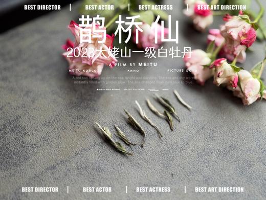 【春茶品鉴会】2023一级白牡丹《鹊桥仙》，馨香盈杯，清润润的汤感素雅洁净，仿若天山冰泉 商品图2
