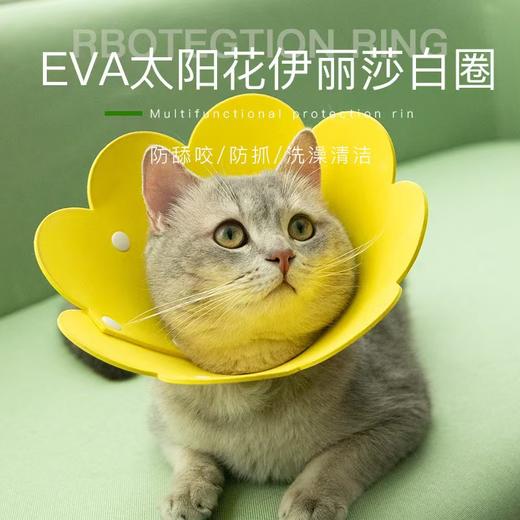 EVA太阳花伊丽莎白猫咪宠物项圈【M码 20-24适合2-6斤】 商品图0