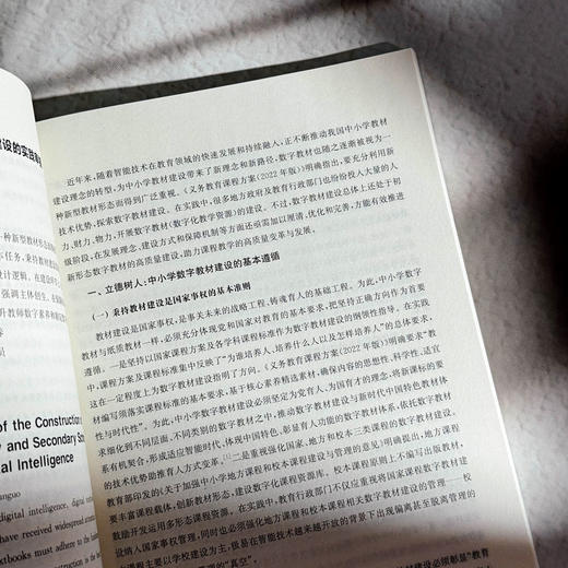 数智时代的教材建设与国家知识管理机制 陈霜叶 雷浩 商品图11