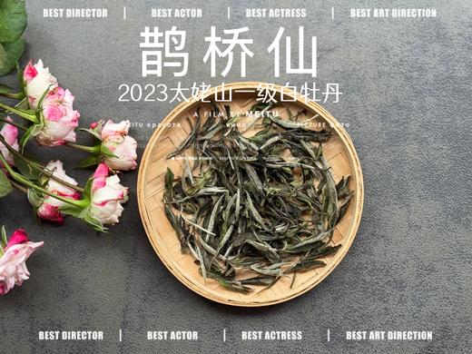 【春茶品鉴会】2023一级白牡丹《鹊桥仙》，馨香盈杯，清润润的汤感素雅洁净，仿若天山冰泉 商品图2