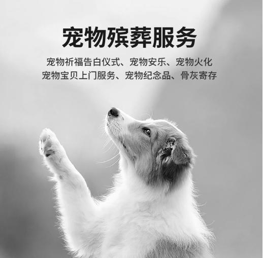 宠物殡葬服务 商品图0