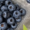 【云南抚仙湖花香蓝莓】 顺丰空运到家 L25花香蓝莓 自然种植 新鲜采摘 商品缩略图2
