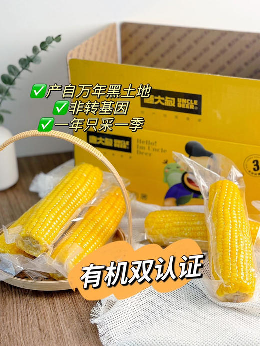 寒地有机糯玉米 商品图1