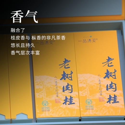 【好茶破价王】老树肉桂 武夷岩茶 9g*12泡 108克/盒 商品图3