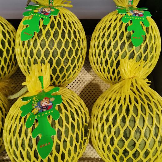 特小凤黄西瓜 商品图0