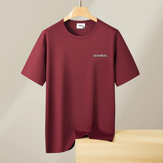 【DX】大依优型大码短袖圆领T恤重磅时尚潮流宽松潮牌加肥加大上衣男士 商品图5