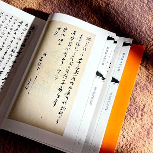 郑逸梅友朋尺牍 郑逸梅家藏尺牍 名宿交游 民国海上艺坛往事 商品图9