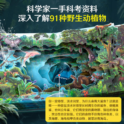 【青葫芦】走进亚马孙科普立体书 儿童3d立体书百科全书 商品图4
