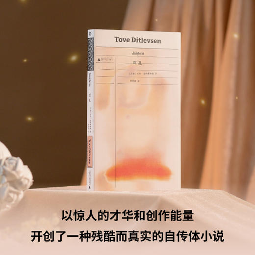 面孔 | 托芙·迪特莱弗森长篇代表作 在混沌中探寻自我的女性声音 商品图1