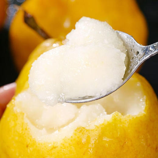 【分仓直发包邮】中华丑梨 3斤（4-6个）（中果，果径75-80mm） 商品图1