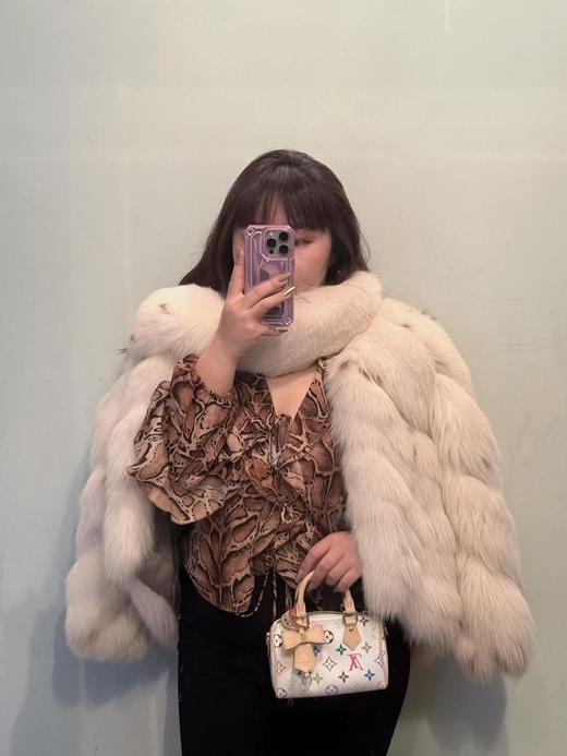 新款现货秒发   驴家白三彩村上隆再版系列NanoSpeedy手袋手拿枕头斜跨包（CB） 商品图4