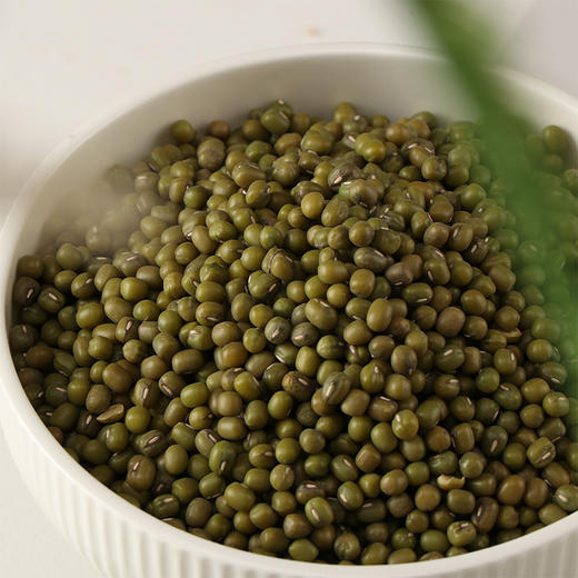 正耕 有机绿豆400g 商品图3