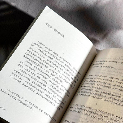 幻想之眼 一个教育者的内在冲突 大夏书系 教育新思考 张文质 中小学教师教育理论 商品图12