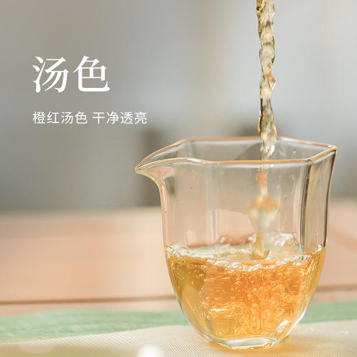 【倩倩直播间推荐】 武夷岩茶十大名丛合集 岩之有礼 礼盒装 83g（8.3×10）/盒 商品图3