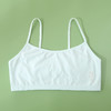 女童儿童内衣发育期小学生少女纯棉打底背心8-12岁女孩文胸薄款💕 商品缩略图6