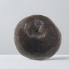 藏乌梨（2只） 1kg/份 商品缩略图0