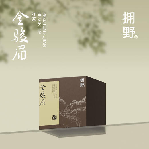 拥野·金骏眉 三角袋泡茶 3gx12袋/盒 商品图0