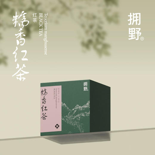 拥野·糯香红茶 三角袋泡茶 3gx12袋/盒 商品图0