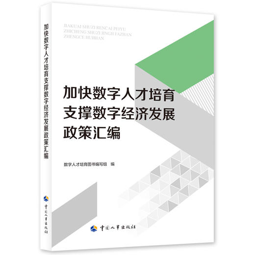 加快数字人才培育支撑数字经济发展政策汇编 商品图0