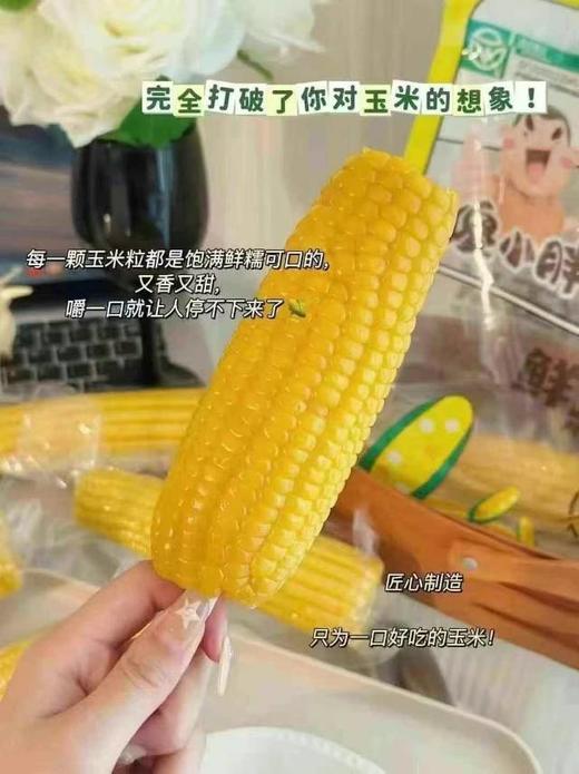 #草滩农场#傻小胖玉米家庭装 商品图3