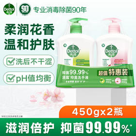 滴露洗手液滋润450g+松木450g*2