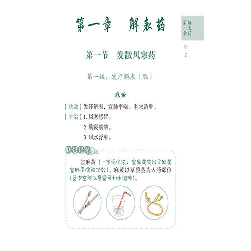中药功效主治速查速记轻松学中医系列 胡志强主编 本书引入了手绘漫画的形式 为读者提供了一种全新的学习体验 中国医药科技出版社 商品图4