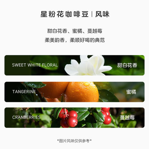 配方设计系列 星粉花 商品图1