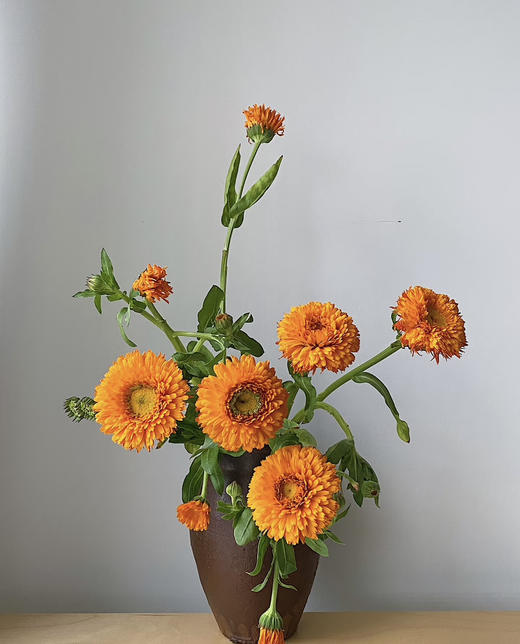 【朵盘如盏】金盏菊  扎 商品图0