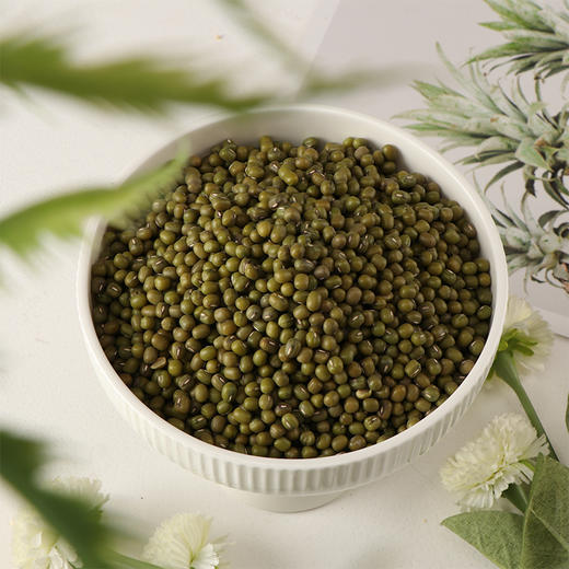 正耕 有机绿豆400g 商品图2