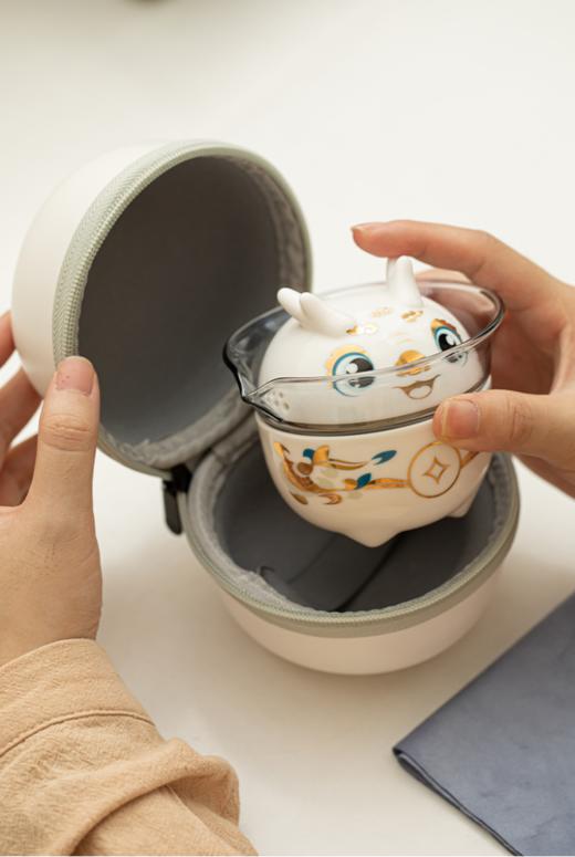 有钱龙旅行快客 商品图0