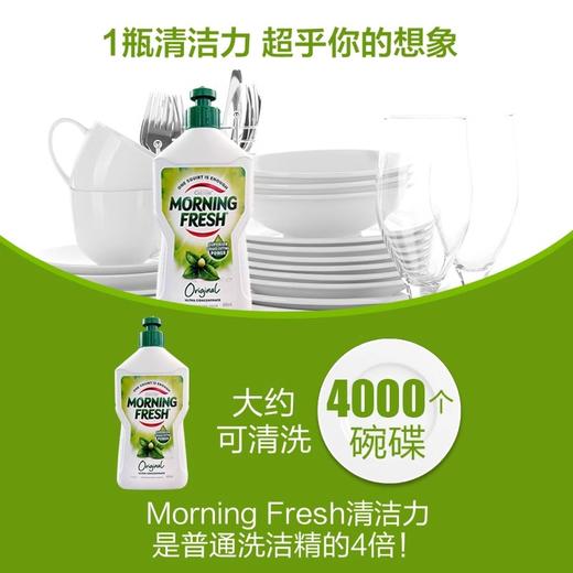 【中欧班列精选】澳洲进口Morning Fresh洗洁精浓缩家用小瓶不伤手400ml/瓶 商品图7