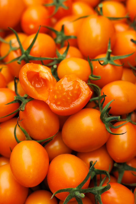 超级好吃的小番茄，一口惊艳｜橙也～小番茄 商品图1