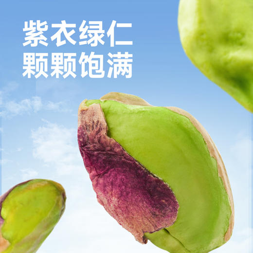 【悠享佳】美国开心果仁450gX2盒 两盒特惠装 商品图2