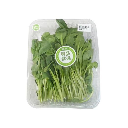 【春菜】鸡毛菜（份）约180g 商品图0