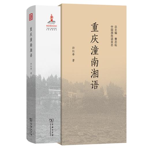 重庆潼南湘语 中国濒危语言志 第二辑 孙红举 著 商品图0