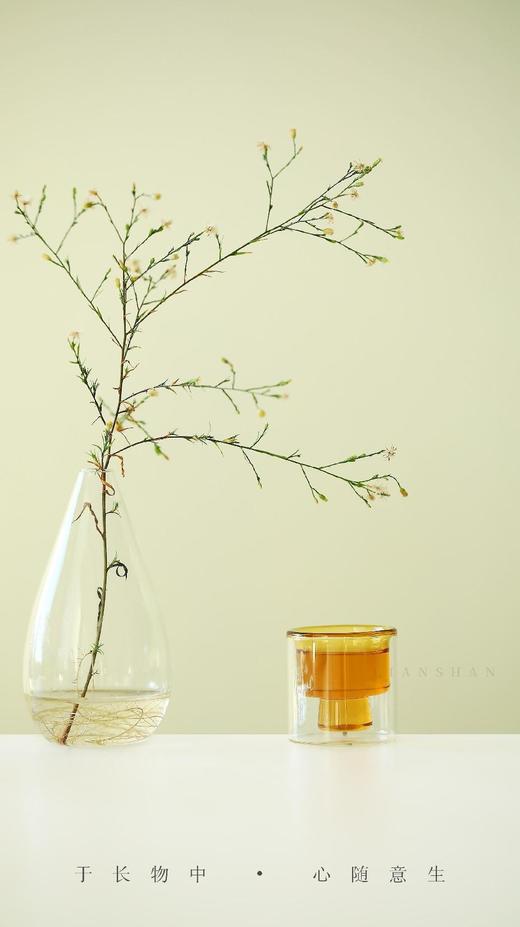 双层玻璃品茗杯 商品图1