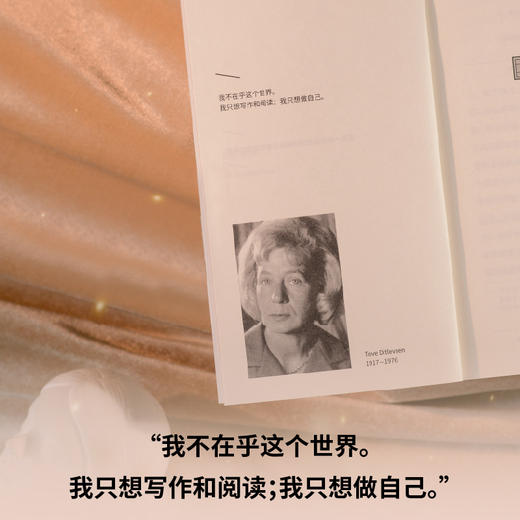 面孔 | 托芙·迪特莱弗森长篇代表作 在混沌中探寻自我的女性声音 商品图3