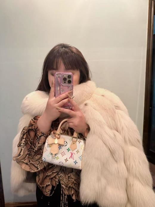 新款现货秒发   驴家白三彩村上隆再版系列NanoSpeedy手袋手拿枕头斜跨包（CB） 商品图5