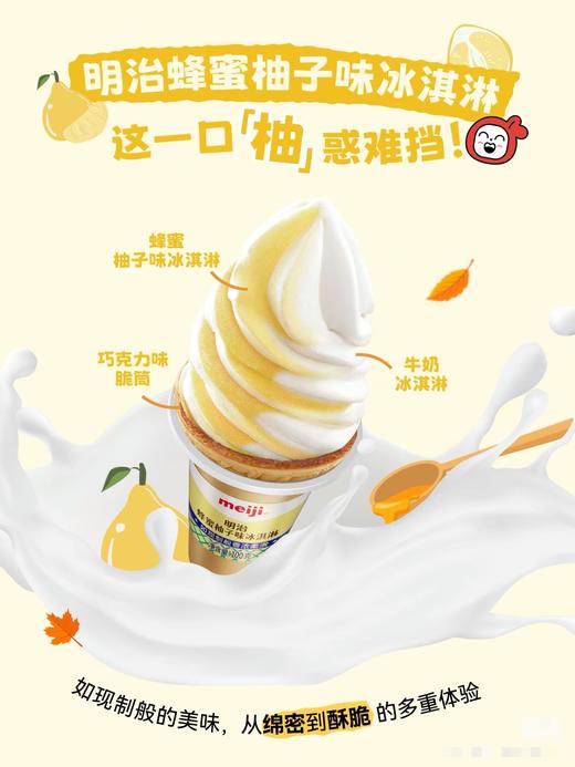 【特价10元/3个】明治蜂蜜柚子味冰淇淋100G(华夫筒） 商品图1