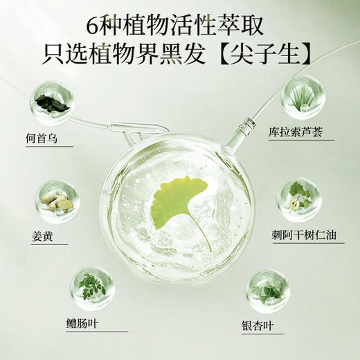 多爱银杏叶植物提取物染发剂 植物染盖白发 不刺激 商品图7