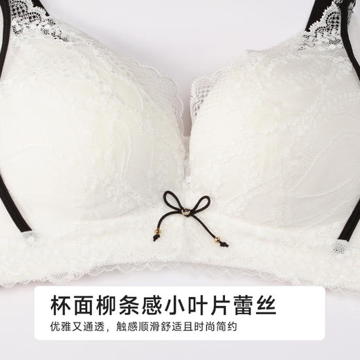 都市丽人聚拢升杯A杯常规内衣中厚蕾丝树脂胶圈常规文胸YBH1C6 商品图4